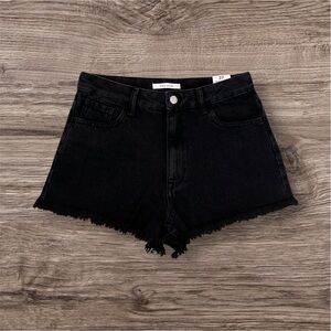 Pacsun Festival Shorts